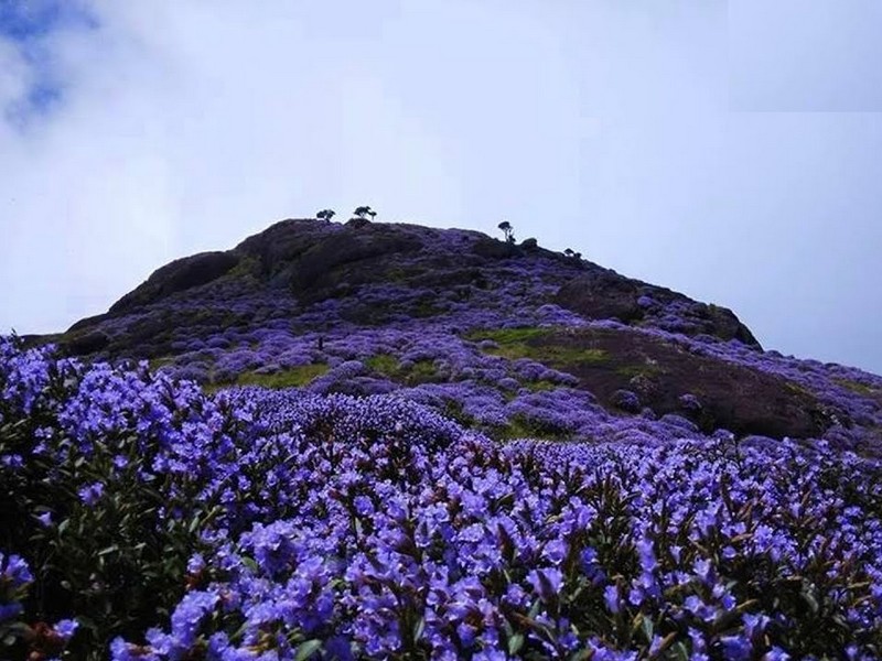 Munnar