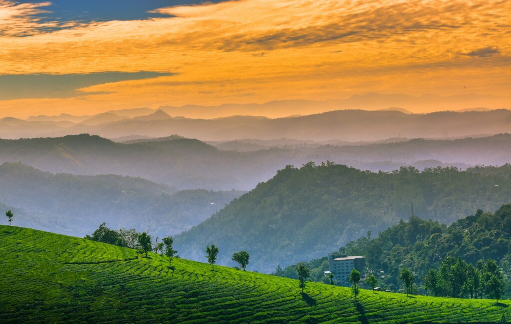 Munnar