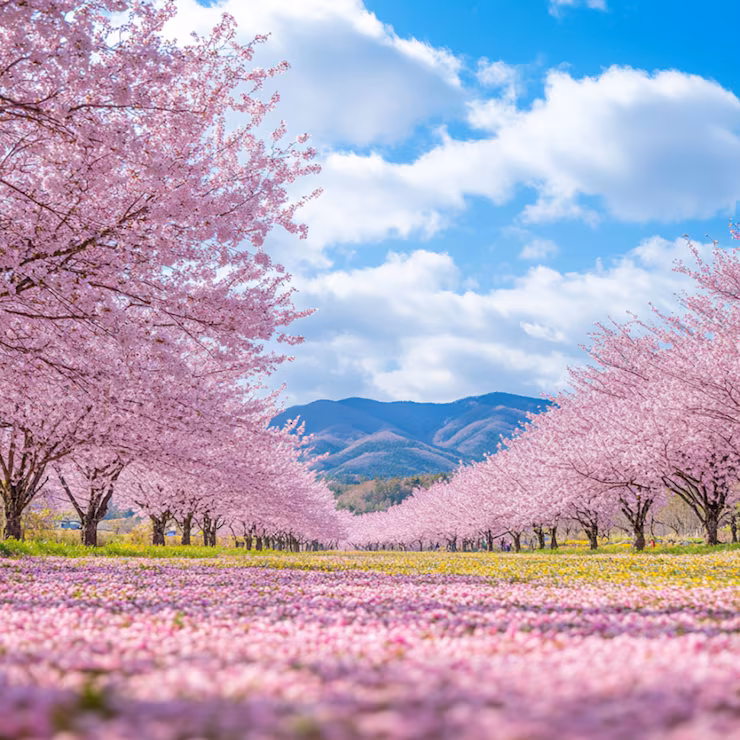 Japan