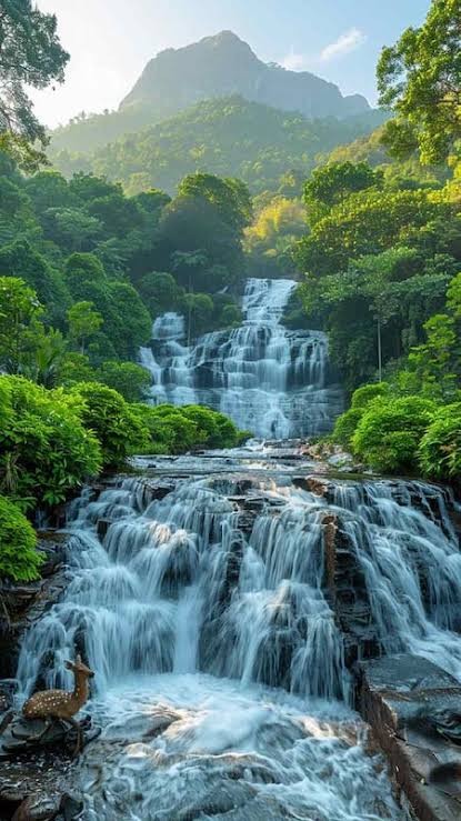 Wayanad