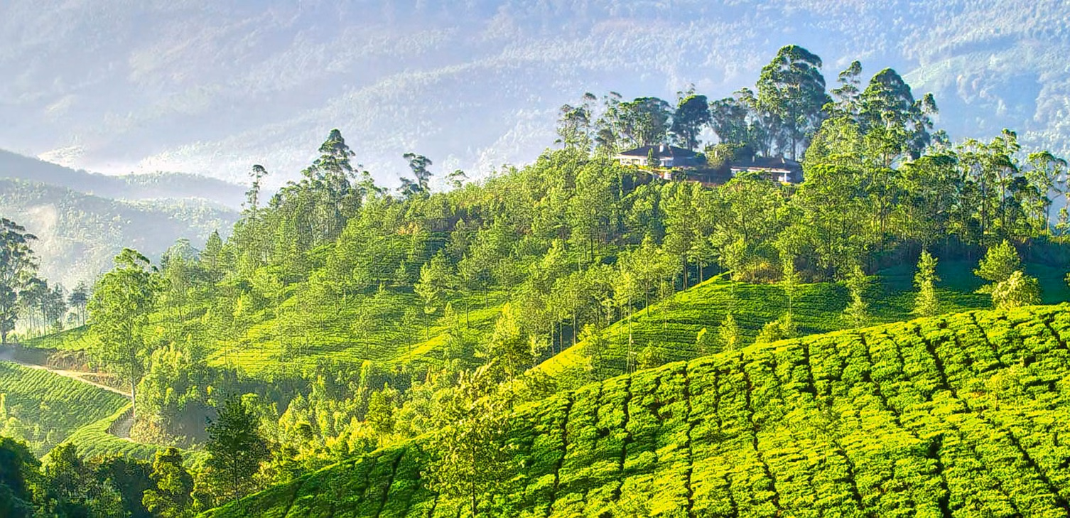 Idukki tour package